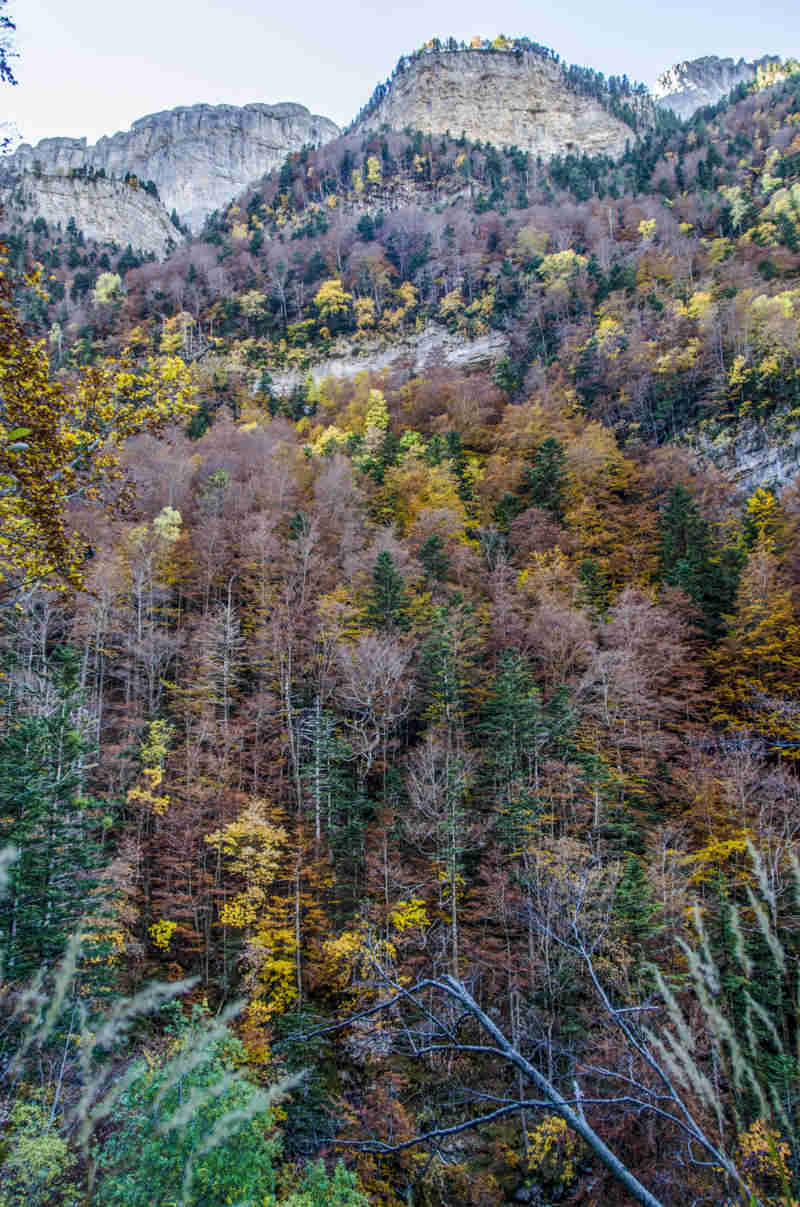 Huesca - parque nacional de Ordesa y Monte Perdido - valle de Ordesa 47.jpg